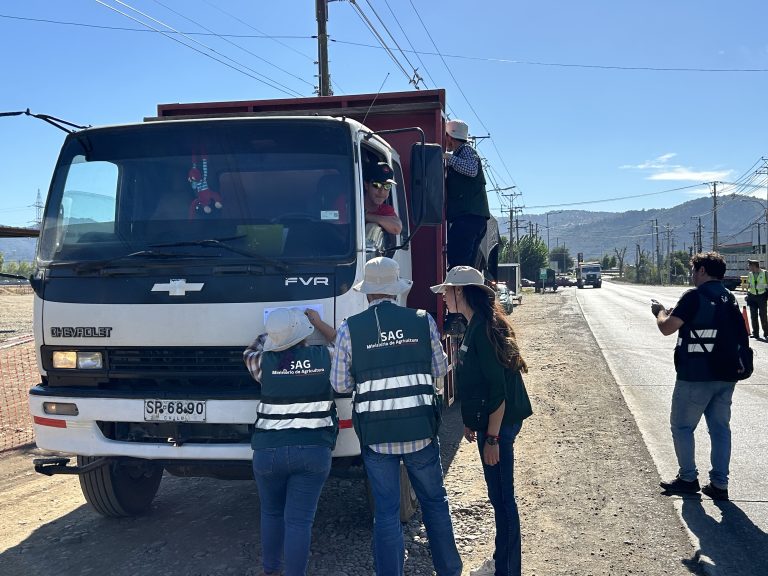 Autoridades regionales fiscalizan el transporte de uva en la Ruta 5 Sur