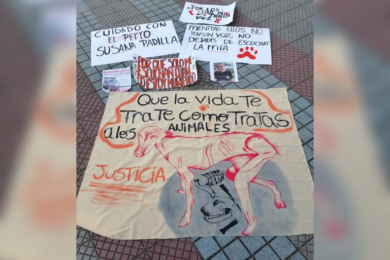 Comunidad curicana exige justicia por “refugio” del sector Vista Hermosa