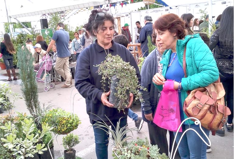 Emprendedores locales le dan vida a la Feria Indap
