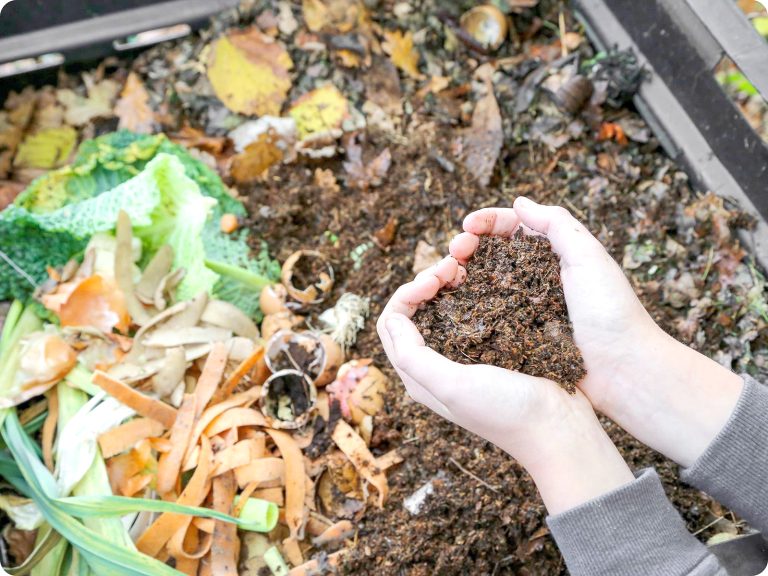 Un impulso a la creatividad  y conciencia ambiental