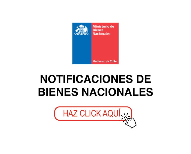BIENES NACIONALES LUNES 1 DE JULIO DE 2024