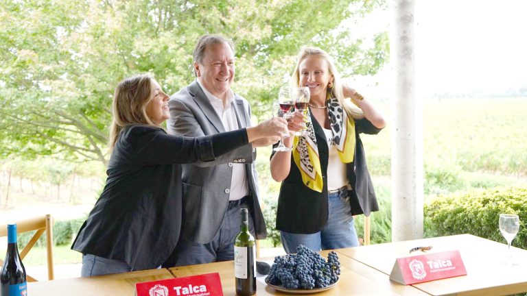 Más de 30 viñas darán  vida al Boulevard del Vino