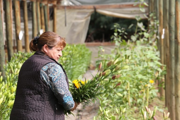 Fidelisa convirtió las flores en su motor de desarrollo