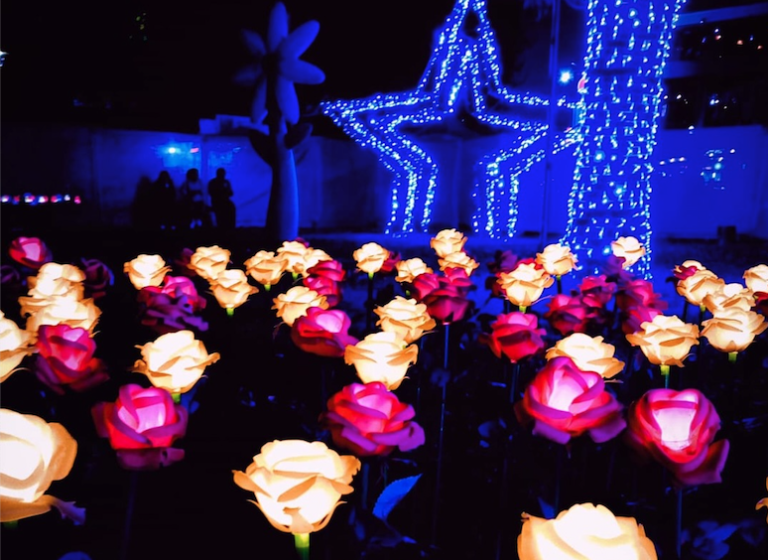 Espectáculo Parque Iluminado comenzó a funcionar en la Alameda Manso de Velasco