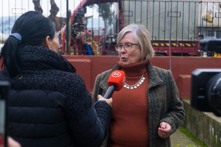 Vuelven a insistir en impulsar un aeropuerto para el Maule
