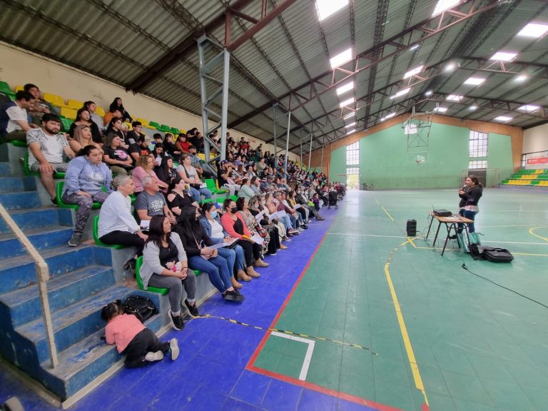 Aprueban recursos para construir viviendas de San Bonifacio y Altos de Lontué