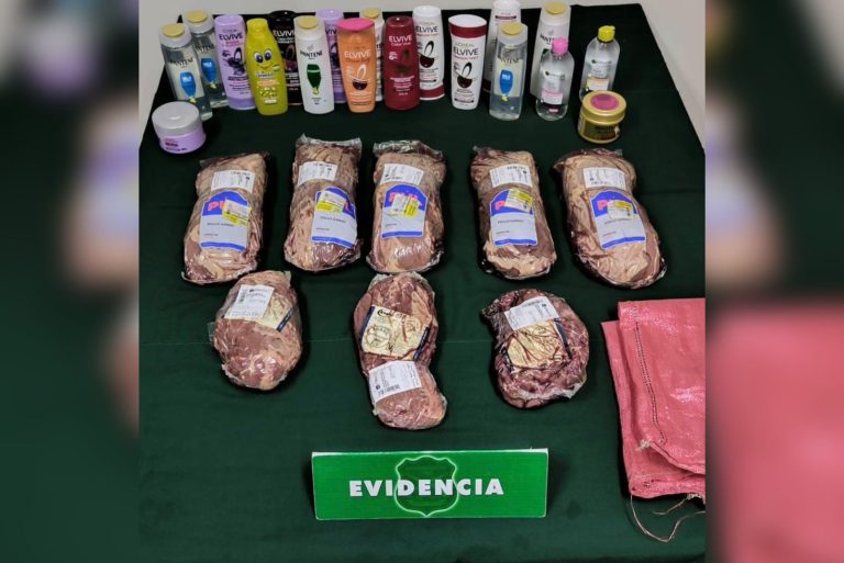 Cayó banda delictual que robaba principalmente en supermercados