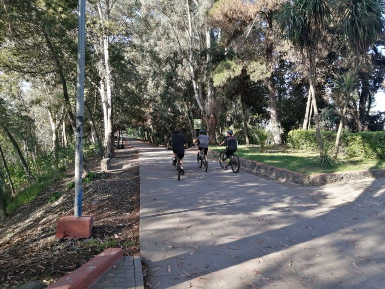 Dos menores detenidos por asaltar a detective