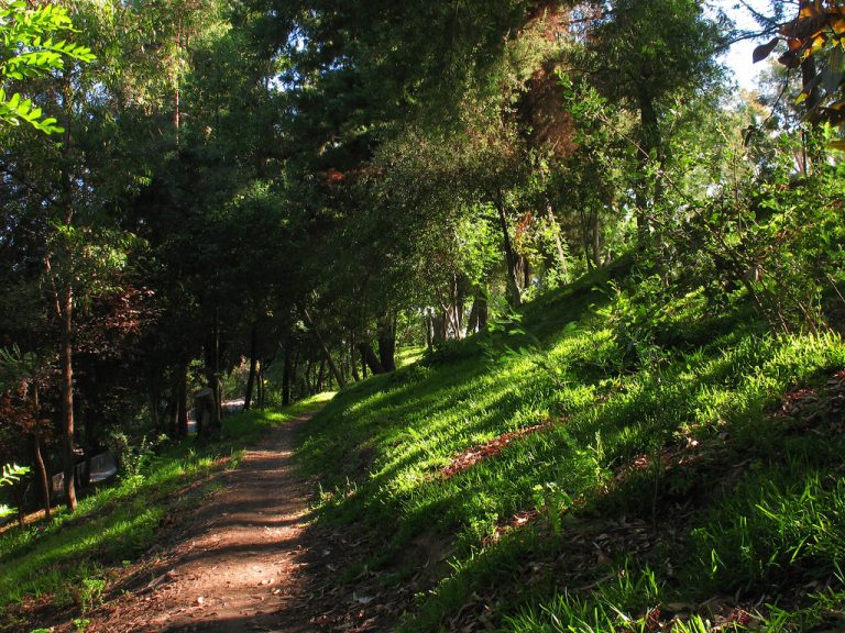 Concejal tras crimen en cerro Condell: “Hay que reforzar la vigilancia e invertir más en la seguridad”