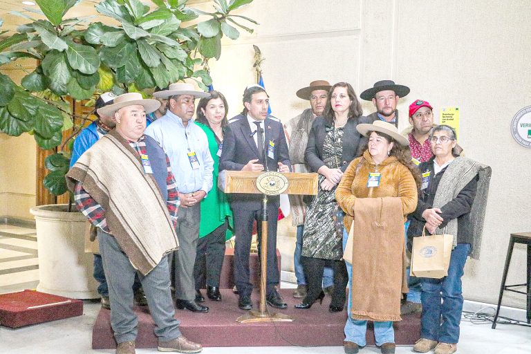 Romeral impulsa Proyecto de Ley para  establecer el Día Nacional del Arriero