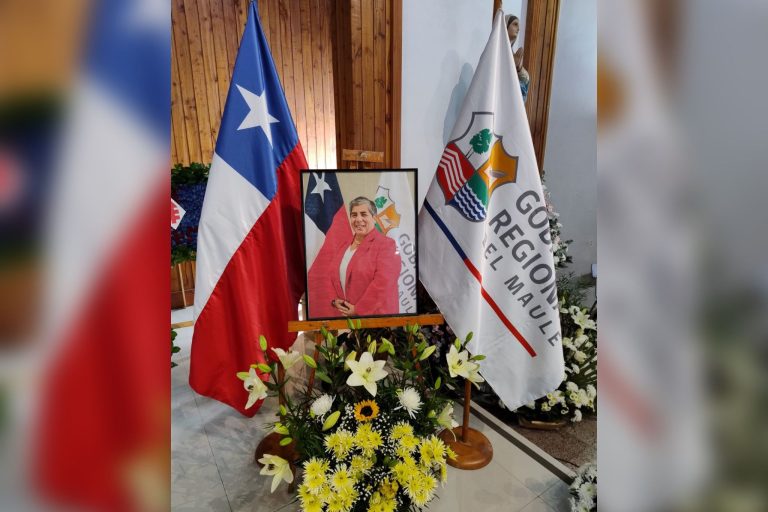 Propondrán bautizar algún sector habitacional en homenaje a fallecida consejera regional