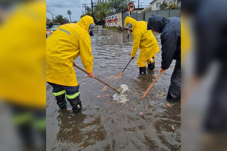 Curicó aguantó sin mayores inconvenientes el sistema frontal