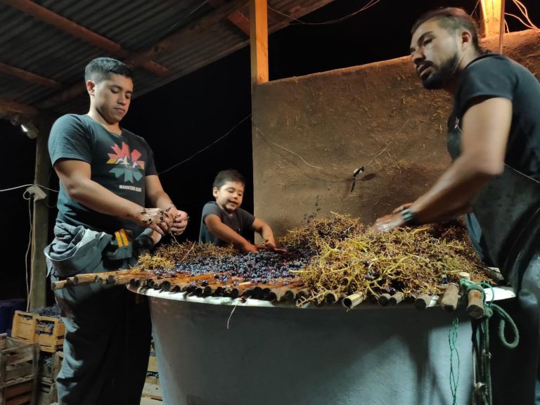 Pencahue vivirá una fascinante fiesta del vino