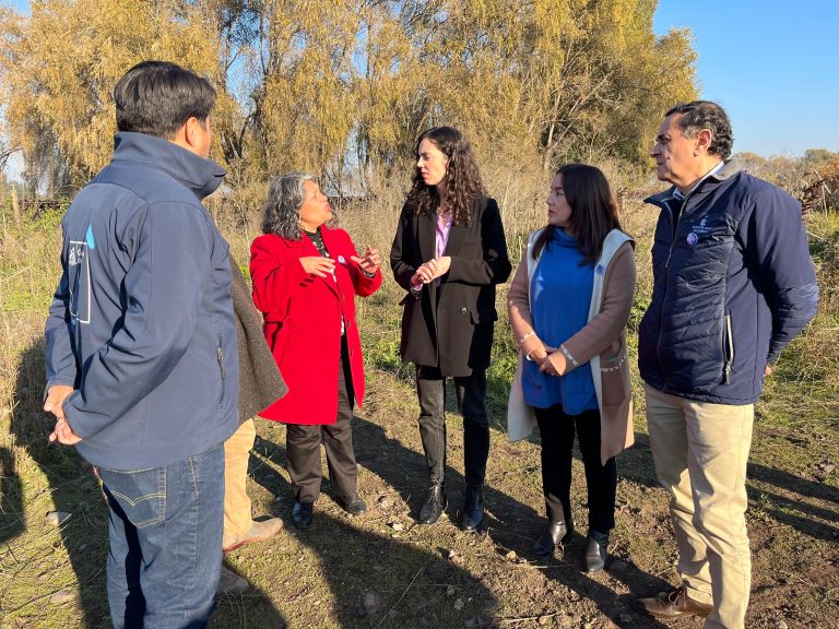 Subsecretaria del Patrimonio Cultural confirma obras de protección para cementerio indígena