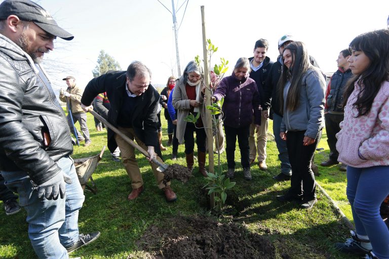 Se plantarán 50 árboles nativos en el parque Padre Hurtado de Talca