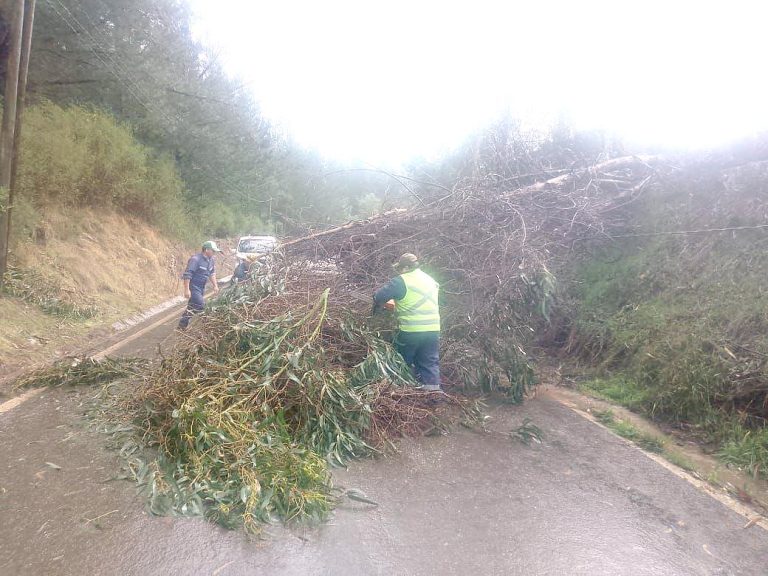 Provincia de Cauquenes soportó de  buena forma la emergencia climática