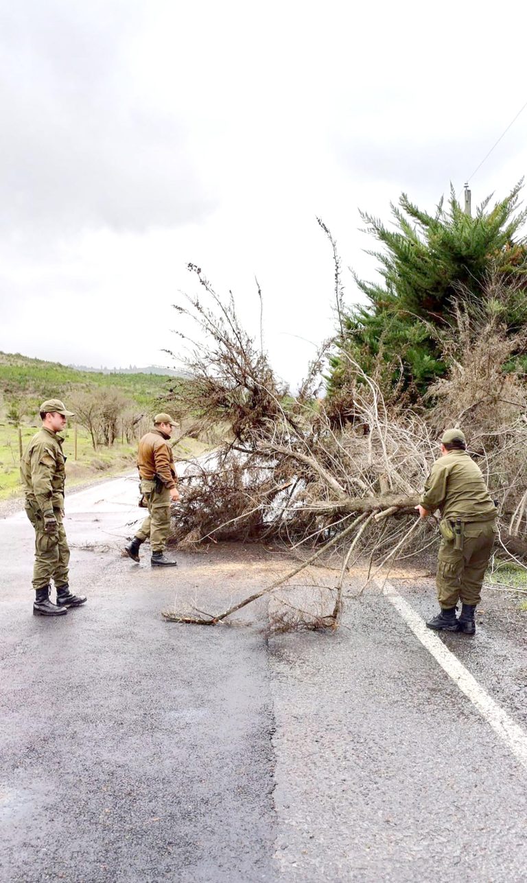Emergencia en Pencahue: casas anegadas,  rutas cortadas y accidentes de tránsito