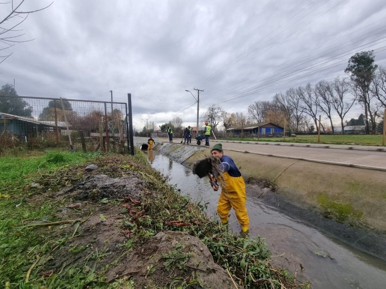 Municipio intensifica limpieza de canales para prevenir desbordes e inundaciones