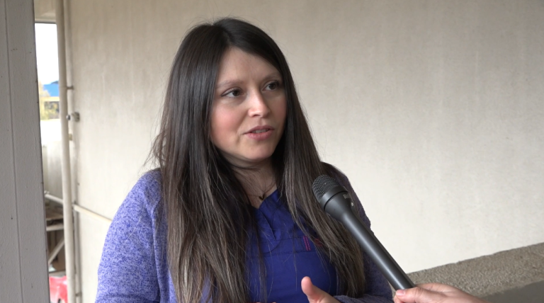 Alimentos que fortalecen el sistema inmune en invierno