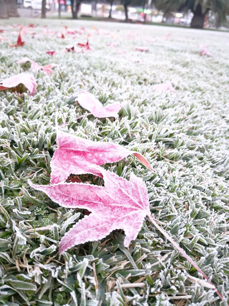 Llaman a no recargar artefactos  eléctricos en medio de la ola de frío