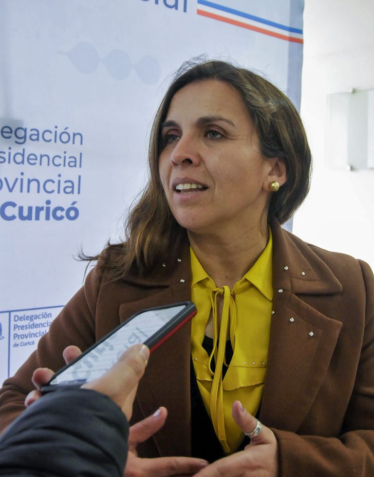 Hualañé: Dan a conocer avances del trabajo destinado a disminuir déficit habitacional