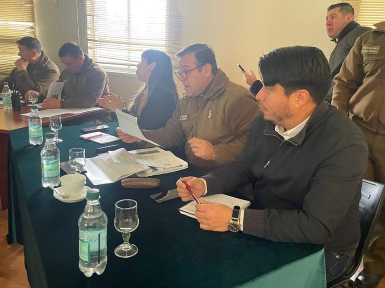 En un 17 por ciento bajaron robos en la provincia de Curicó