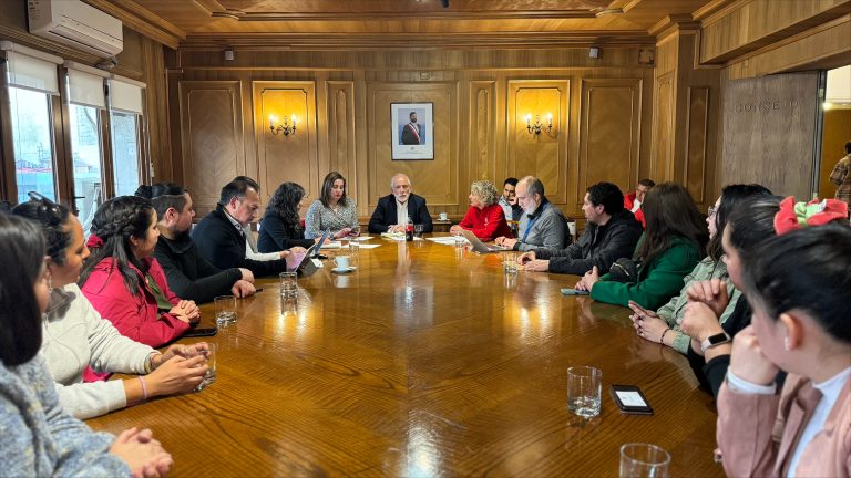 Alcaldesa pidió al ministro Montes asignar recursos para más de 600 viviendas en Molina