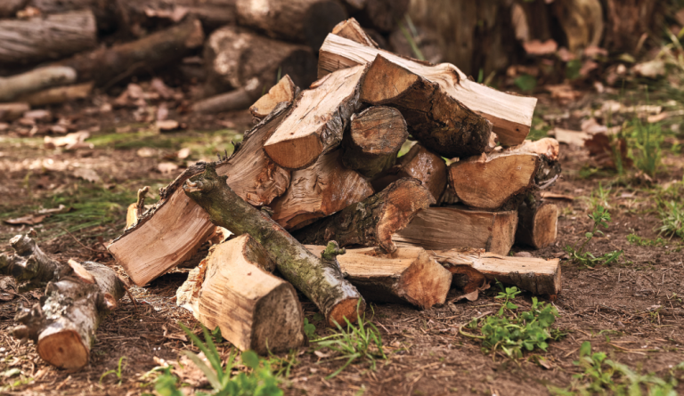 Municipio intensifica fiscalización al comercio leñero para garantizar aire limpio en Curicó