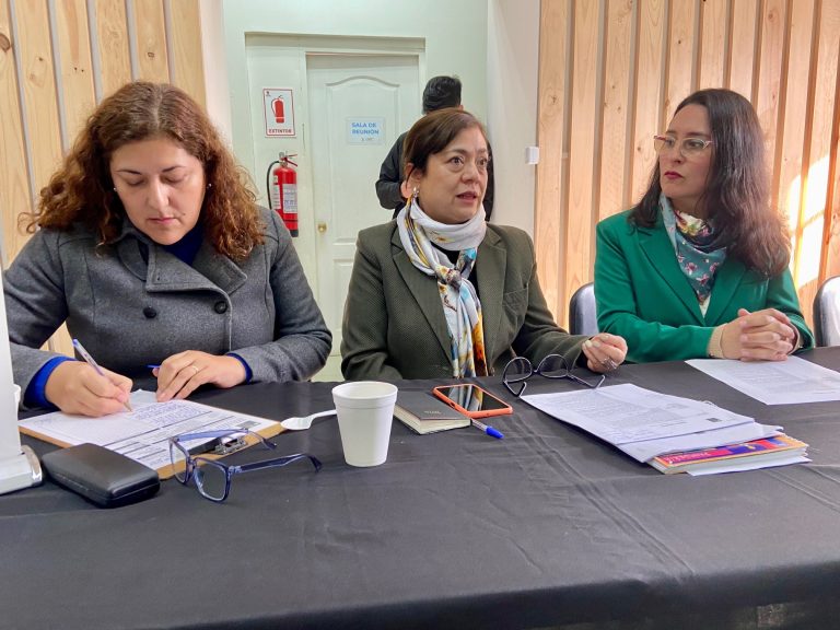 Buscan aumentar la cobertura del  EcoMercado Solidario de Linares