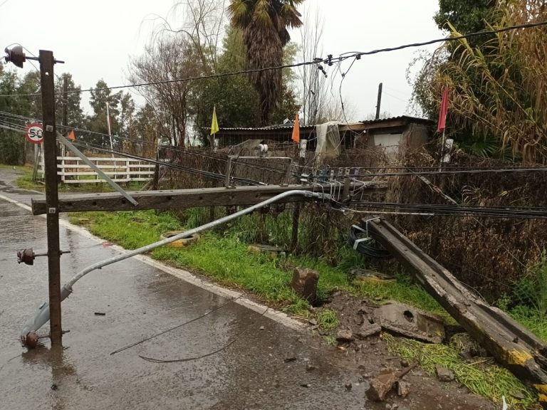 Equipos municipales de Sagrada Familia atendieron diversas emergencias por caídas de árboles y postes