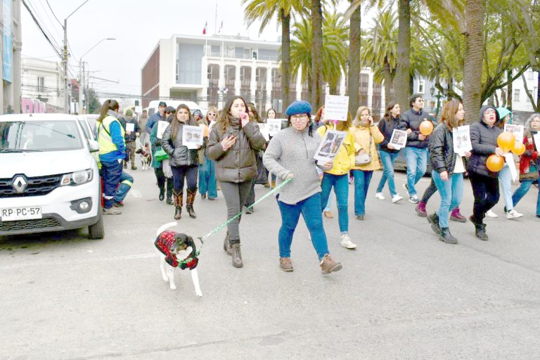 Molestia por aparente “impunidad”  en casos de evidente maltrato animal