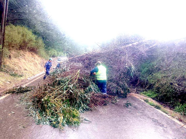 Voladura de techos, bloqueo de rutas, cortes del  suministro y comunicaciones deja sistema frontal