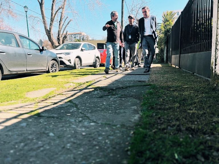 Esta semana se inician los trabajos de reposición de veredas en Curicó