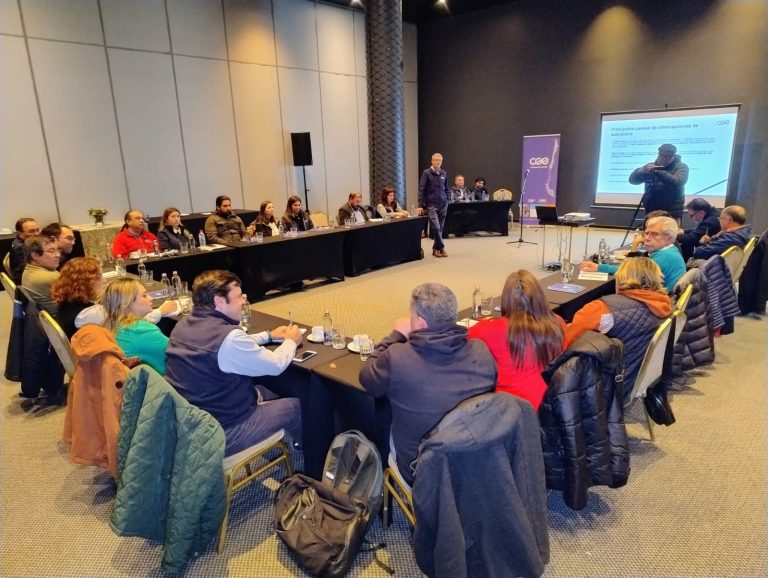 CGE: Inversiones atrasadas en transmisión están generando problemas de suministro