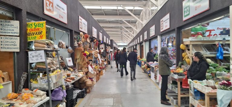 Mercado provisorio se posiciona como uno de los lugares más recurridos en la capital maulina