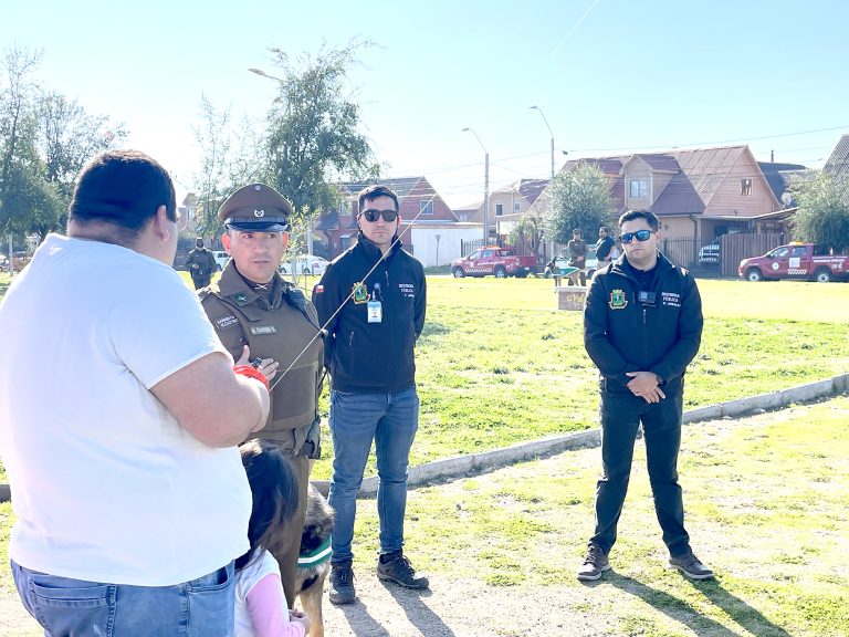 Realizan intensas fiscalizaciones para evitar uso  de hilo envidriado en don Sebastián de Rauquén