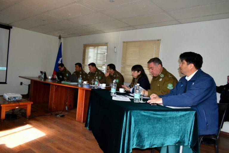 Celebraciones de Fiestas Patrias terminaron sin víctimas fatales en la provincia de Curicó