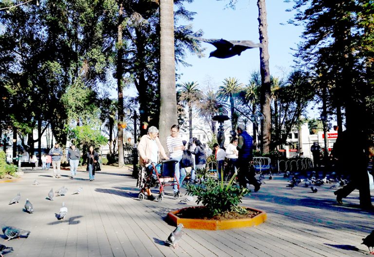 Curicó se posiciona entre las cinco comunas con mejor calidad de vida