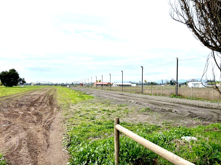 Agrupaciones animalistas valoran cierre  de canódromo en la localidad de Lontué