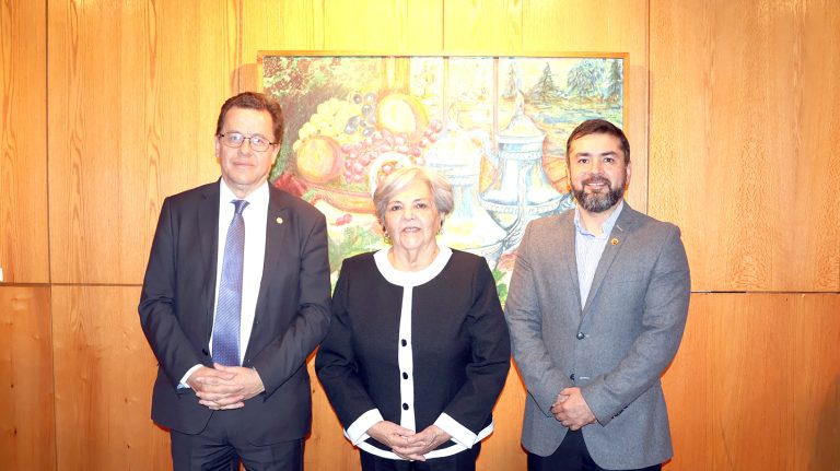 Galería de Arte de U. Autónoma en Talca inauguró “Colores en Historias Enarboladas”