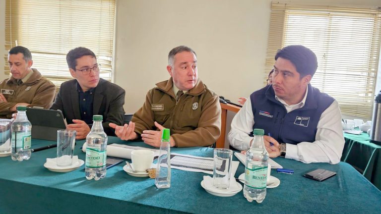 Destacan importante baja del delito  de abigeato en la provincia de Curicó