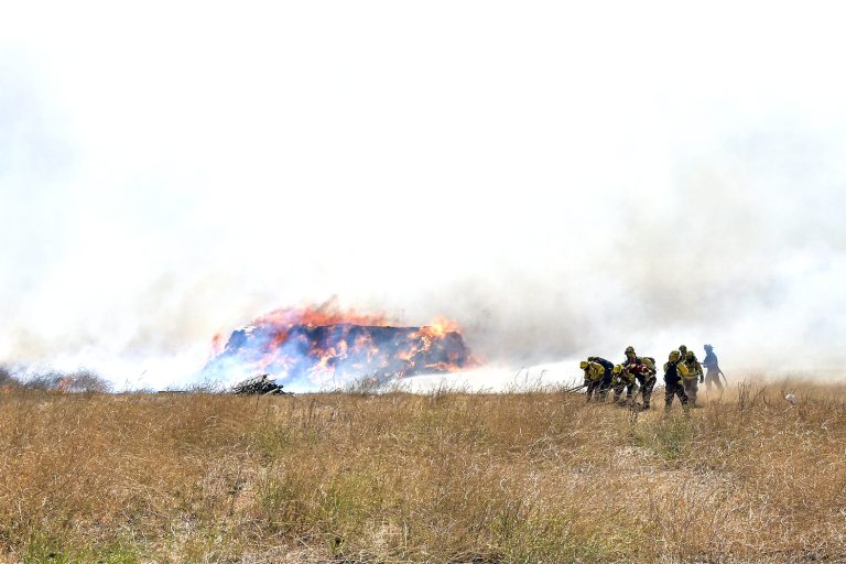 Altas temperaturas complicarán  Combate de incendios forestales