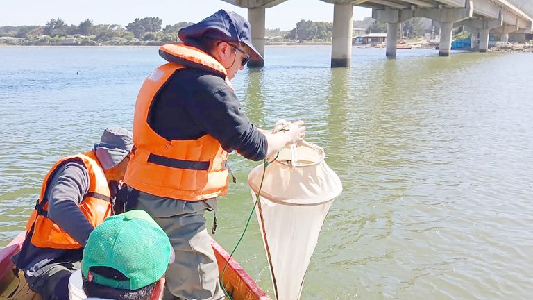 Buscan potenciar la acuicultura de  pequeña escala en la Región del Maule
