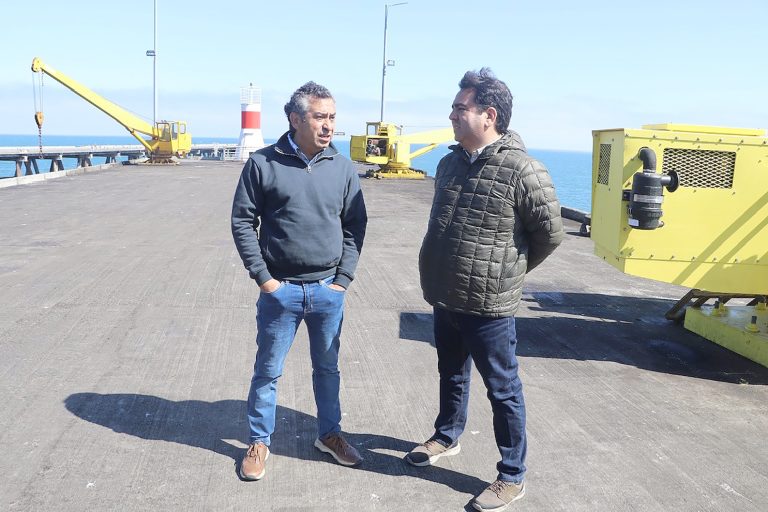 MOP adquirirá tres nuevas grúas  para la caleta de Maguillines