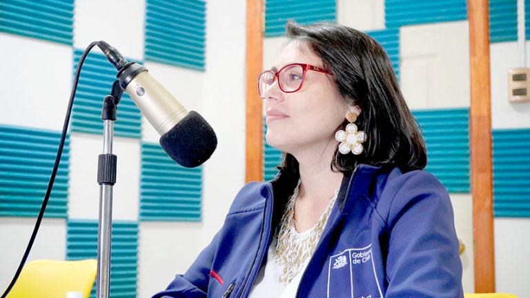 “El llamado a la ciudadanía es a votar en conciencia y debidamente informados”