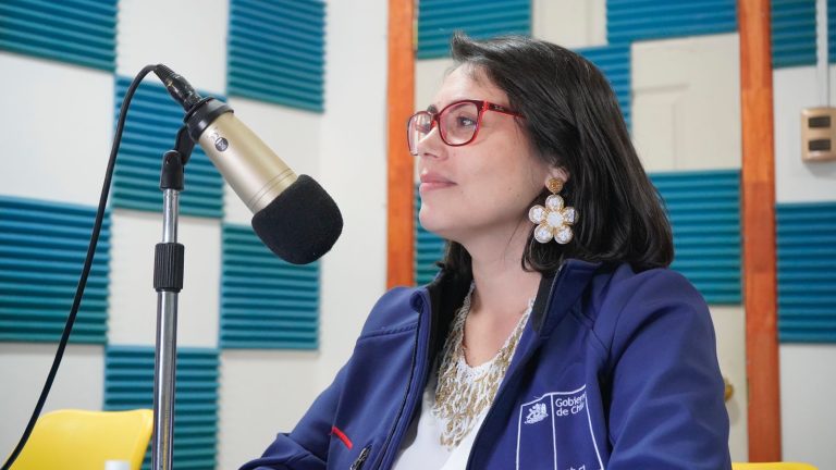 “El llamado a la ciudadanía es a votar  en conciencia y debidamente informados”