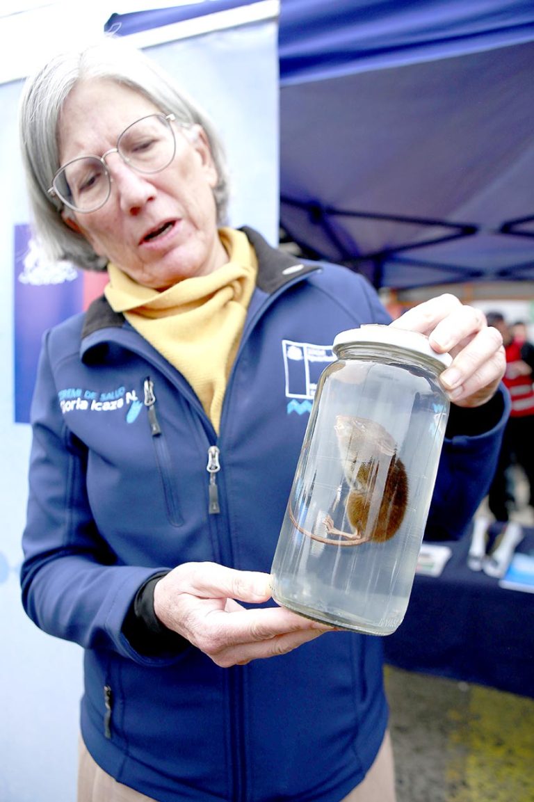 Seremi de Salud inicia campaña educativa  para prevenir contagios con virus Hanta