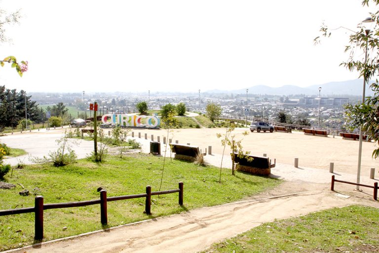 Concejales piden más presencia de guardias y Carabineros en el cerro Carlos Condell