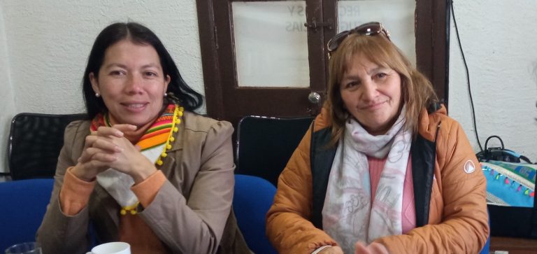 Maulinas serán parte de la XI ExpoFeria  Mujeres Emprendedoras Indígenas 2024