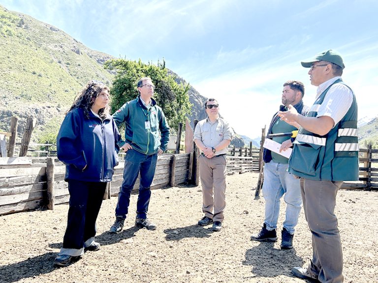 Autoridades dan inicio a la temporada de veranadas en la Región del Maule